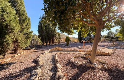 Reventa - Finca / Propiedad de Campo - Crevillente