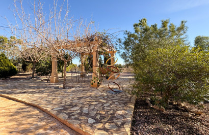 Reventa - Finca / Propiedad de Campo - Crevillente