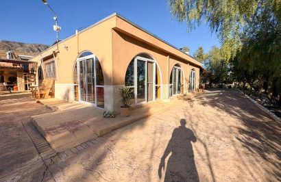 Reventa - Finca / Propiedad de Campo - Crevillente