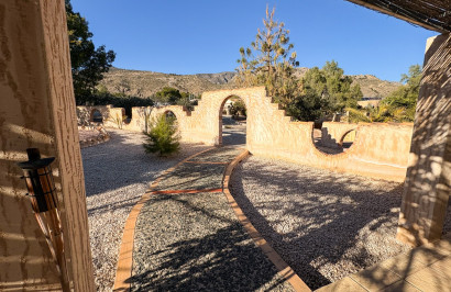 Reventa - Finca / Propiedad de Campo - Crevillente