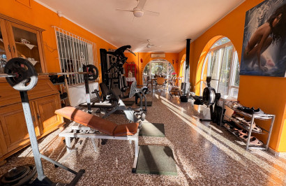 Reventa - Finca / Propiedad de Campo - Crevillente