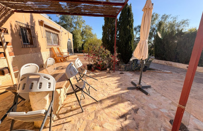 Reventa - Finca / Propiedad de Campo - Crevillente