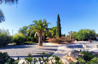 Reventa - Finca / Propiedad de Campo - San Miguel de Salinas