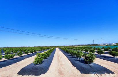 Reventa - Finca / Propiedad de Campo - San Miguel de Salinas