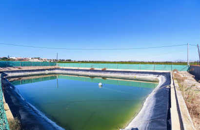 Reventa - Finca / Propiedad de Campo - San Miguel de Salinas