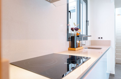 Revente - Villa Individuelle - San Miguel de Salinas