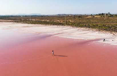 New Build - Apartment / Flat - Torrevieja - Playa de los Locos