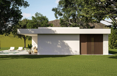 New Build - Detached Villa - Pinoso - Lel