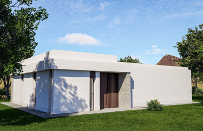 New Build - Detached Villa - Pinoso - Lel