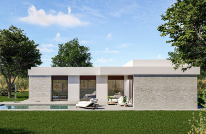 New Build - Detached Villa - Pinoso - Lel