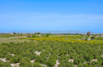 Resale - Apartment / Flat - Daya Nueva - Costa Blanca South