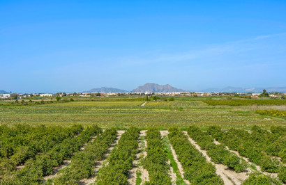 Resale - Apartment / Flat - Daya Nueva - Costa Blanca South