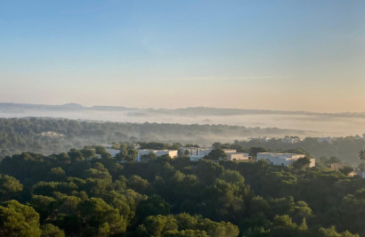 Resale - Apartment / Flat - San Miguel de Salinas - Las Colinas