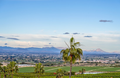 Resale - Detached Villa - Algorfa - Lomas De La Juliana