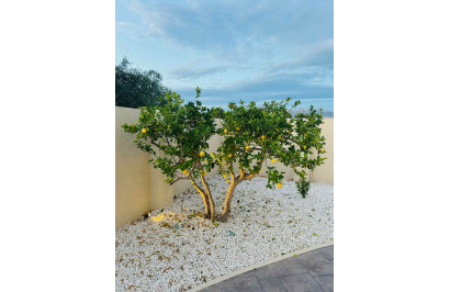 Resale - Detached Villa - Alfas del Pí - pueblo