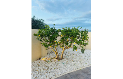 Resale - Detached Villa - Alfas del Pí - pueblo