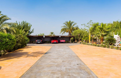 Resale - Finca / Country Property - Almoradí - Almoradi