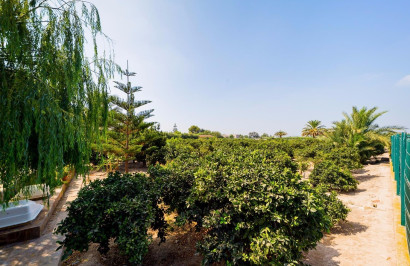 Resale - Finca / Country Property - Almoradí - Almoradi