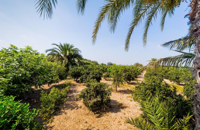 Resale - Finca / Country Property - Almoradí - Almoradi