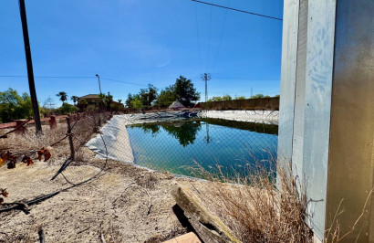 Reventa - Finca / Propiedad de Campo - Los Montesinos