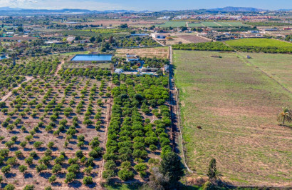 Resale - Finca / Country Property - Los Montesinos