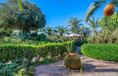 Resale - Finca / Country Property - Los Montesinos