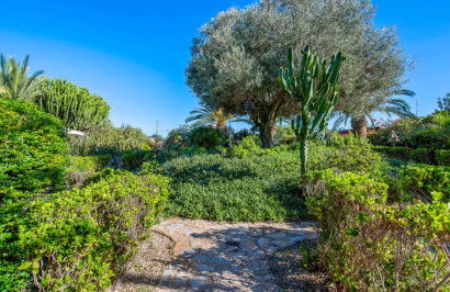 Resale - Finca / Country Property - Los Montesinos