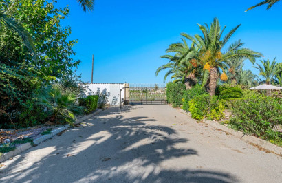 Resale - Finca / Country Property - Los Montesinos