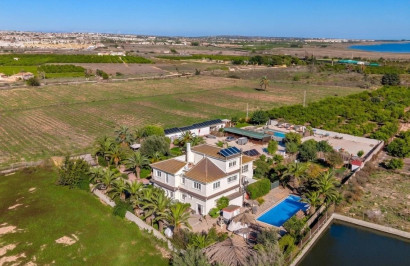 Resale - Finca / Country Property - Los Montesinos