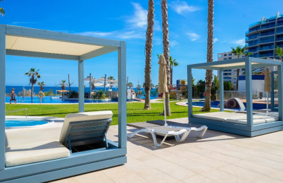 Reventa - Apartamento / Piso - Punta Prima