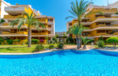 Herverkoop - Appartement / Flat - Punta Prima
