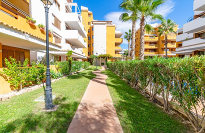 Herverkoop - Appartement / Flat - Punta Prima