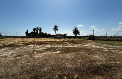 Resale - Plot / Land - San Miguel de Salinas - San Miguel Salinas