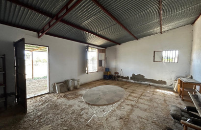 Resale - Plot / Land - San Miguel de Salinas - San Miguel Salinas