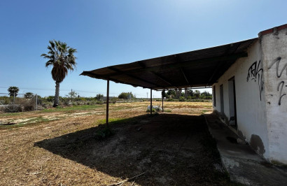 Resale - Plot / Land - San Miguel de Salinas - San Miguel Salinas