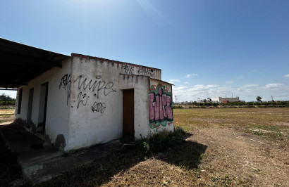 Resale - Plot / Land - San Miguel de Salinas - San Miguel Salinas