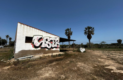 Resale - Plot / Land - San Miguel de Salinas - San Miguel Salinas