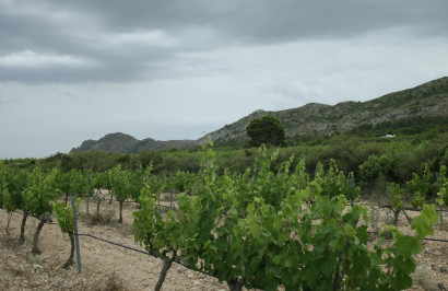 New Build - Detached Villa - Yecla