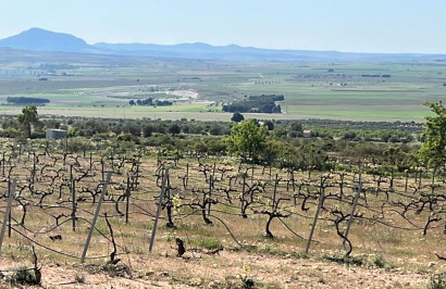 New Build - Detached Villa - Yecla