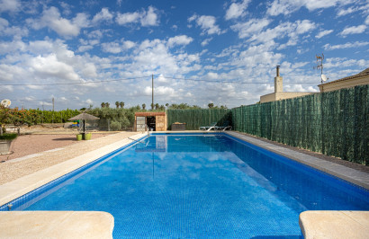 Resale - Detached Villa - Elche - La Hoya