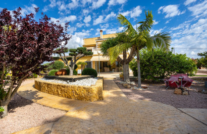 Resale - Detached Villa - Elche - La Hoya