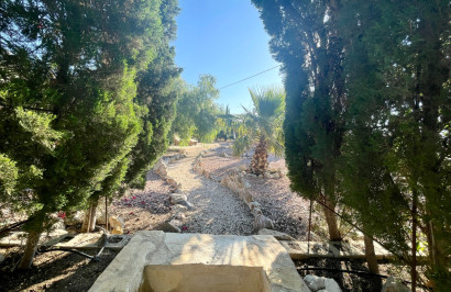 Resale - Finca / Country Property - Crevillente