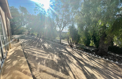 Resale - Finca / Country Property - Crevillente