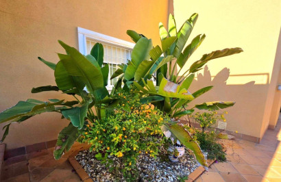 Resale - Detached Villa - Dehesa de Campoamor - Campoamor