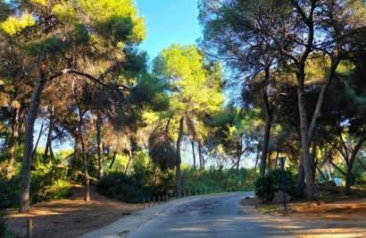 Resale - Detached Villa - Dehesa de Campoamor - Campoamor