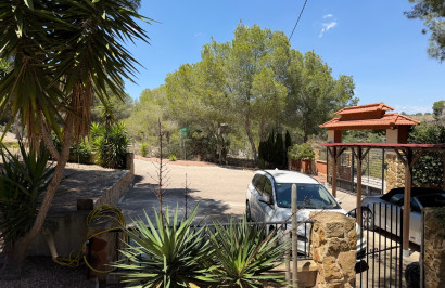 Resale - Finca / Country Property - Orihuela - Torremendo