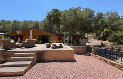 Resale - Finca / Country Property - Orihuela - Torremendo