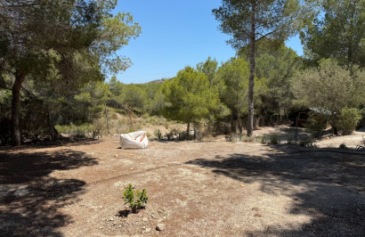 Resale - Finca / Country Property - Orihuela - Torremendo
