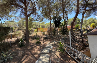 Resale - Finca / Country Property - Orihuela - Torremendo