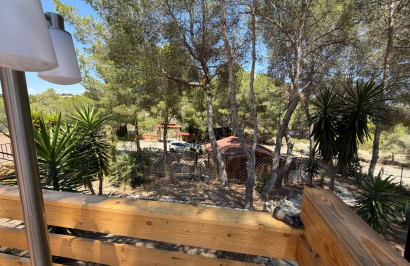 Resale - Finca / Country Property - Orihuela - Torremendo